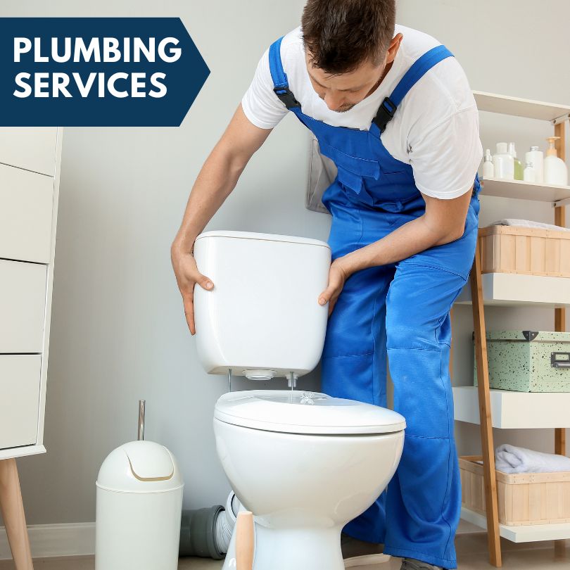 Plumbing Company in Illinois City, IL